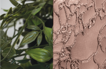 Delta Bronz